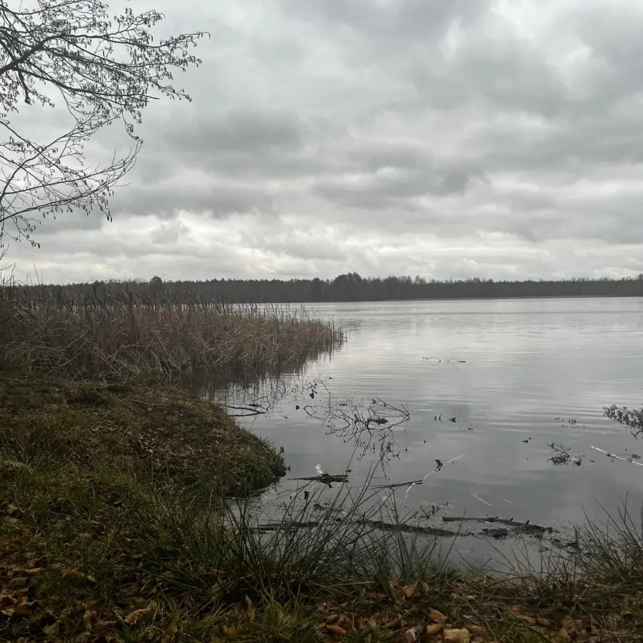 lubelskie, włodawski, Urszulin, Sęków, Działka Pojezierze Łęczyńsko-Włodawskie 38 800m2